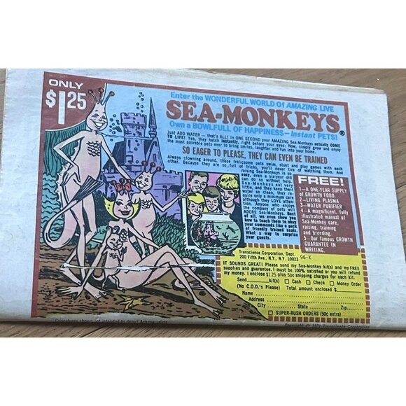 Woody Woodpecker Magazines  Animated Character by the Walter Lantz - Picture 6 of 6